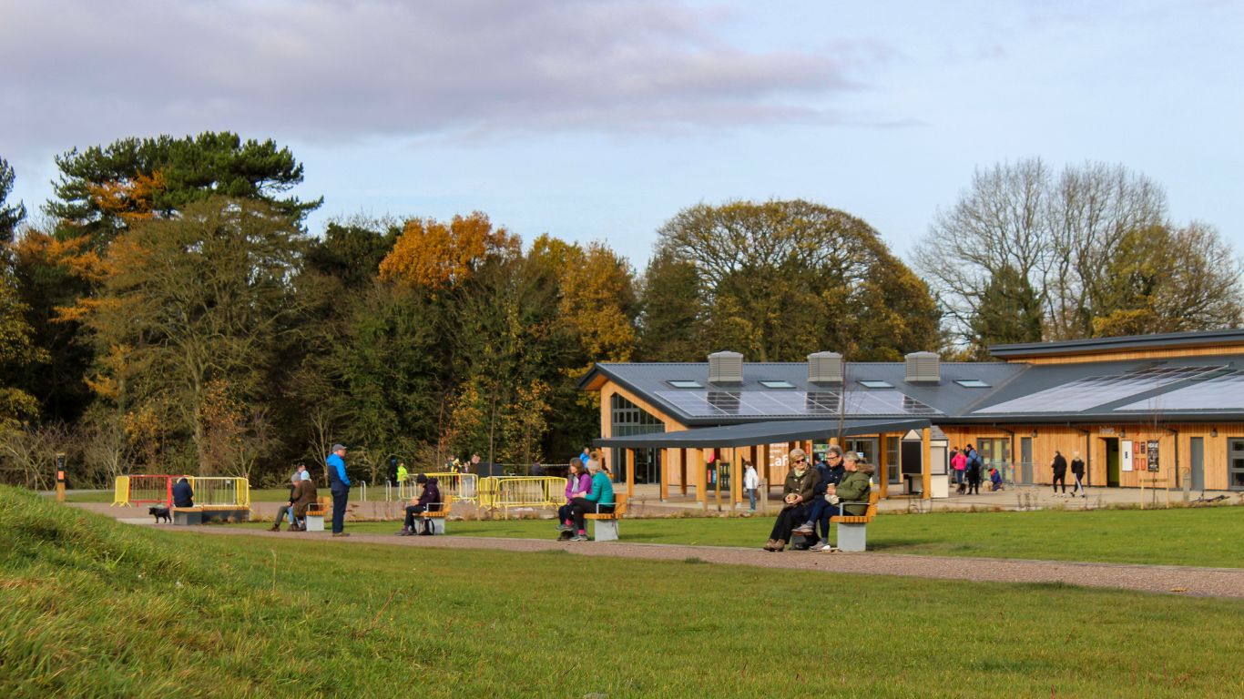 Delamere Forest