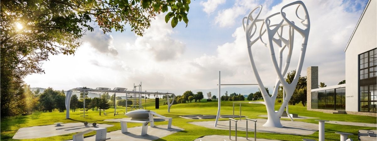 A contemporary work of art or engineered fitness? A contemporary work of art or engineered fitness?