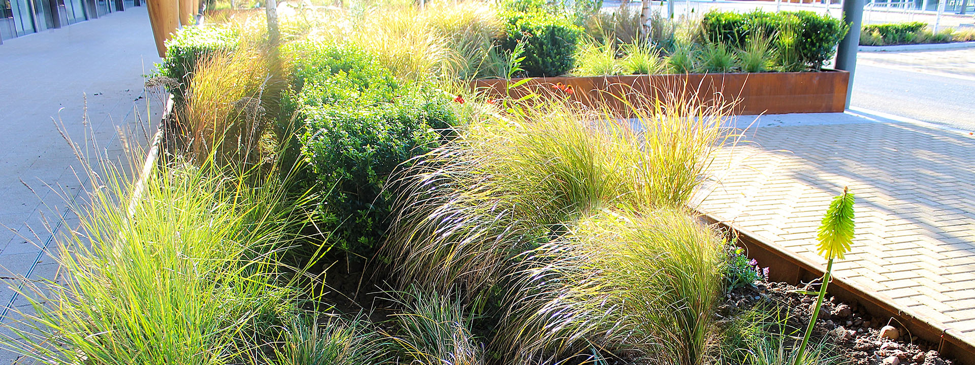 Why are green spaces in our cities necessary? Why are green spaces in our cities necessary?